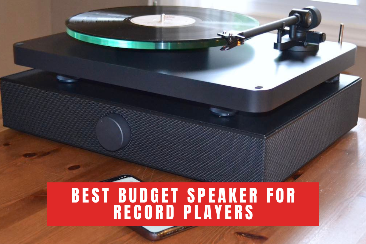 Best Budget Speaker For Record Players