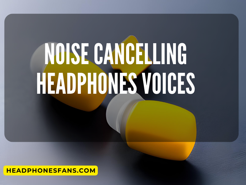 noise cancelling headphones voices